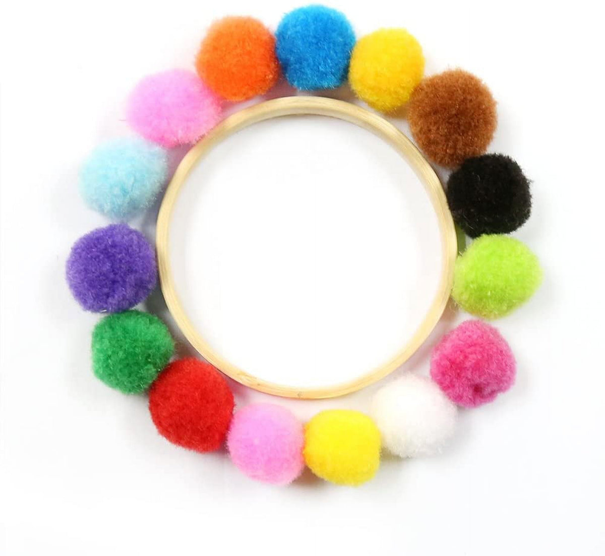 Assorted 1 in Craft Pom Poms, 300 Pieces with 100 Wiggle Eyes