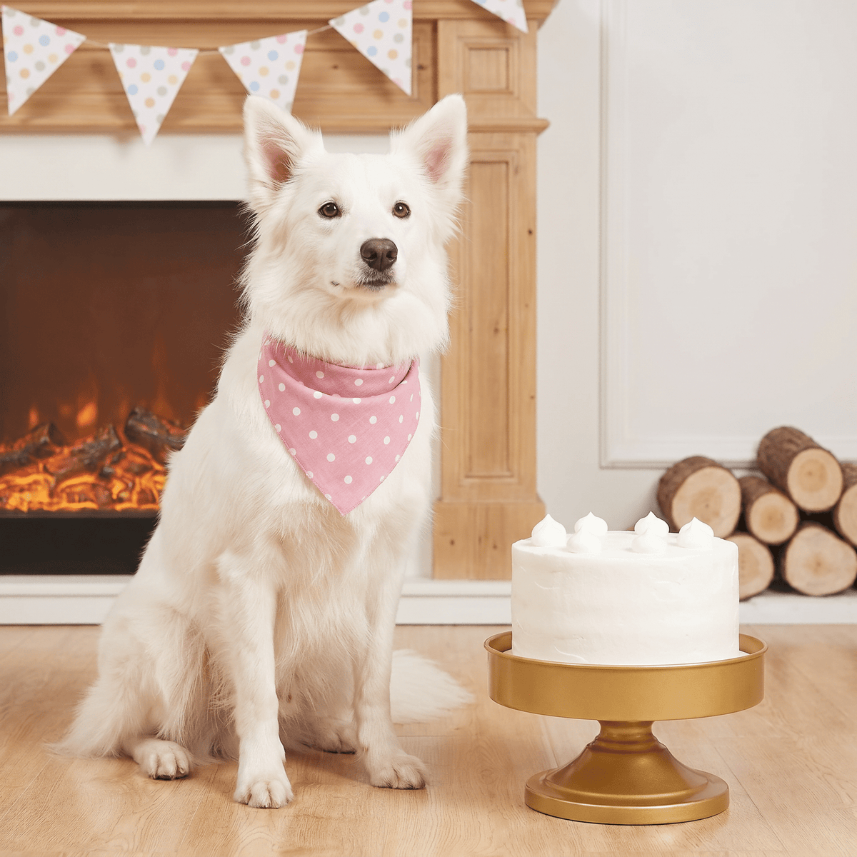 Puppy Bandanas, 17.7 in Square, Washable, 4-Pack - Image 2