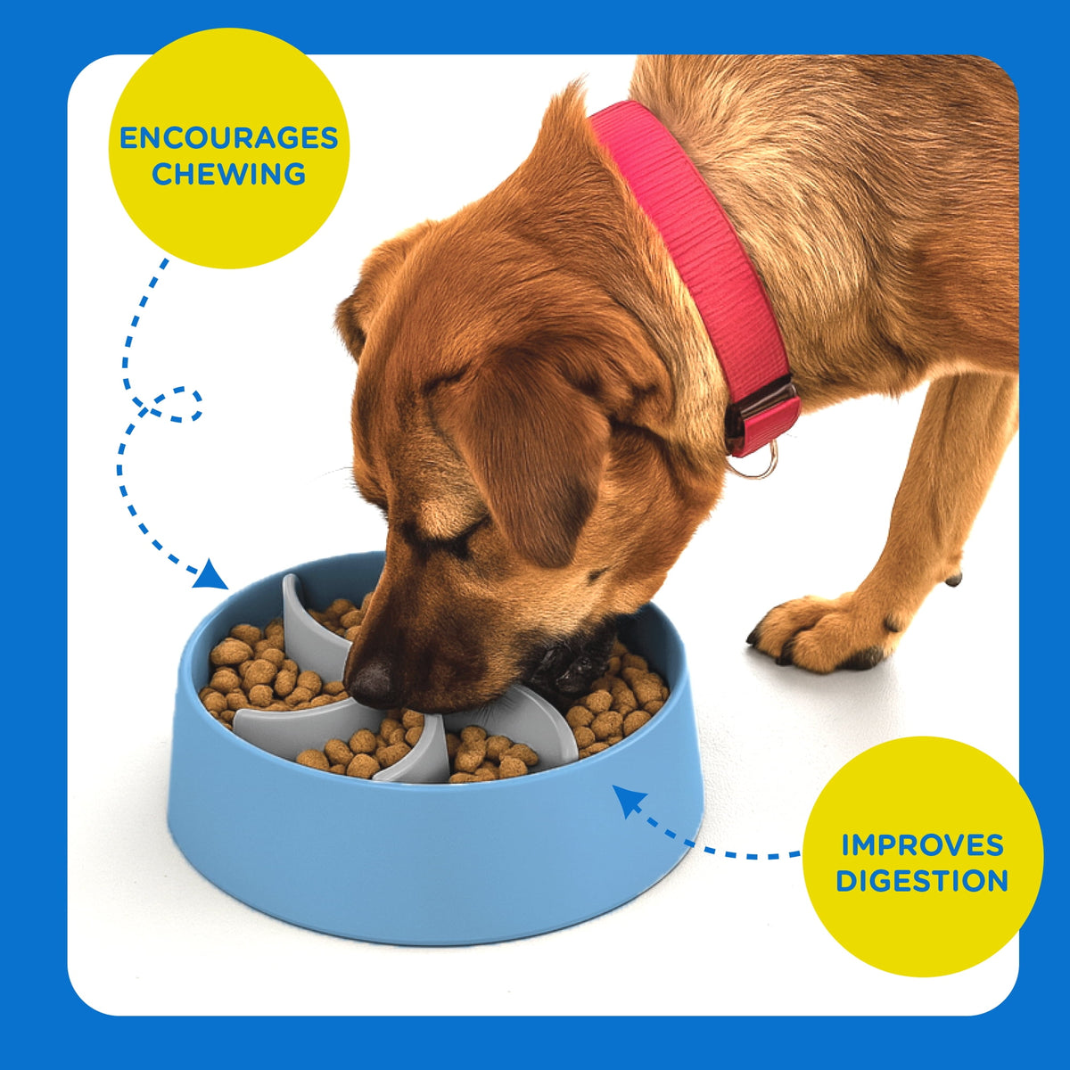 Slow Feeder Insert with Suction Cup for Dog and Cat Bowls - Image 3