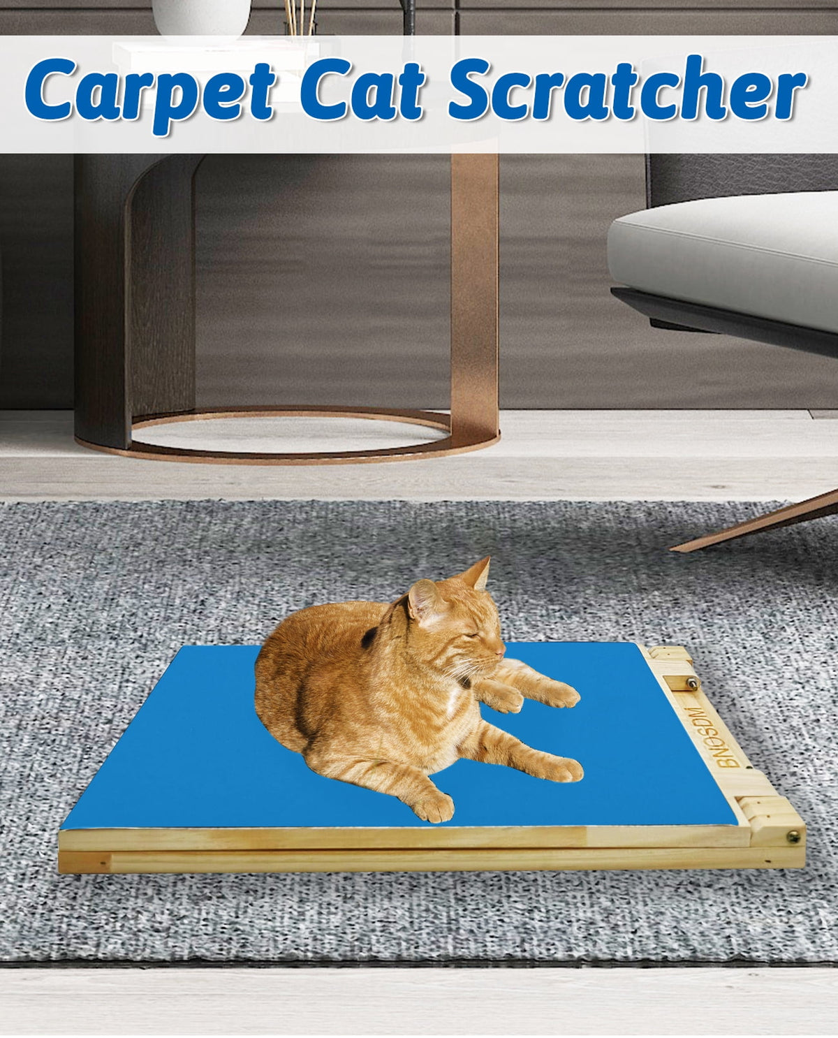 Tilted Cat Scratching Ramp with Replaceable Nail-File Sandpaper, 3 Heights, Blue - Image 3