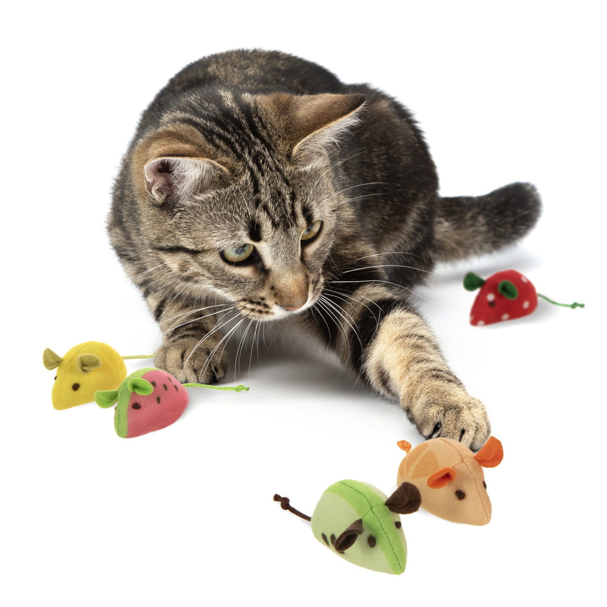 Plush Catnip Mice Cat Toys, Fruit-Slice Design, Set of 5 - Image 2