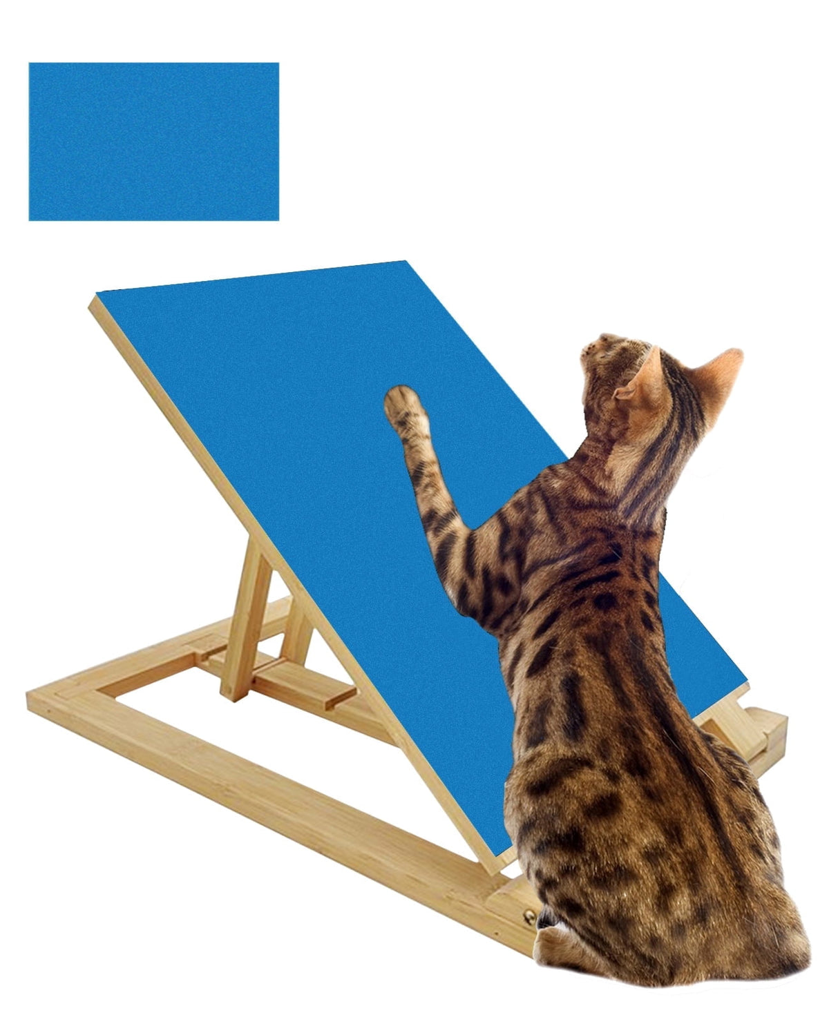 Tilted Cat Scratching Ramp with Replaceable Nail-File Sandpaper, 3 Heights, Blue - Image 2