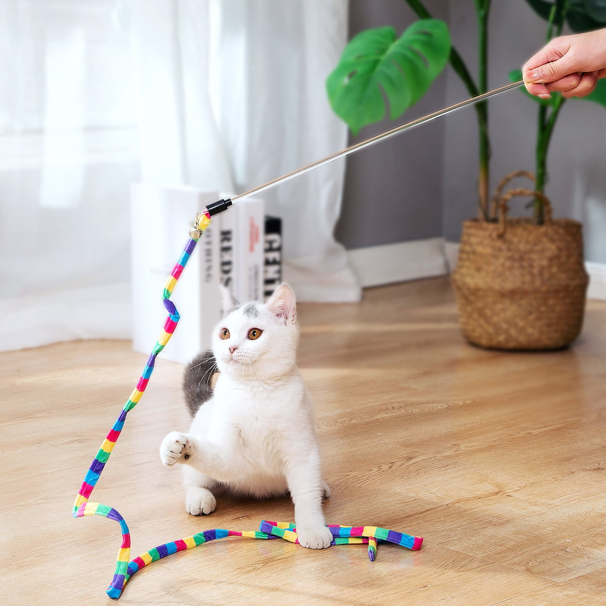 Interactive Cat Feather Wand Set, 2 Retractable Wands and 9 Refills (14 Pieces) - Image 3