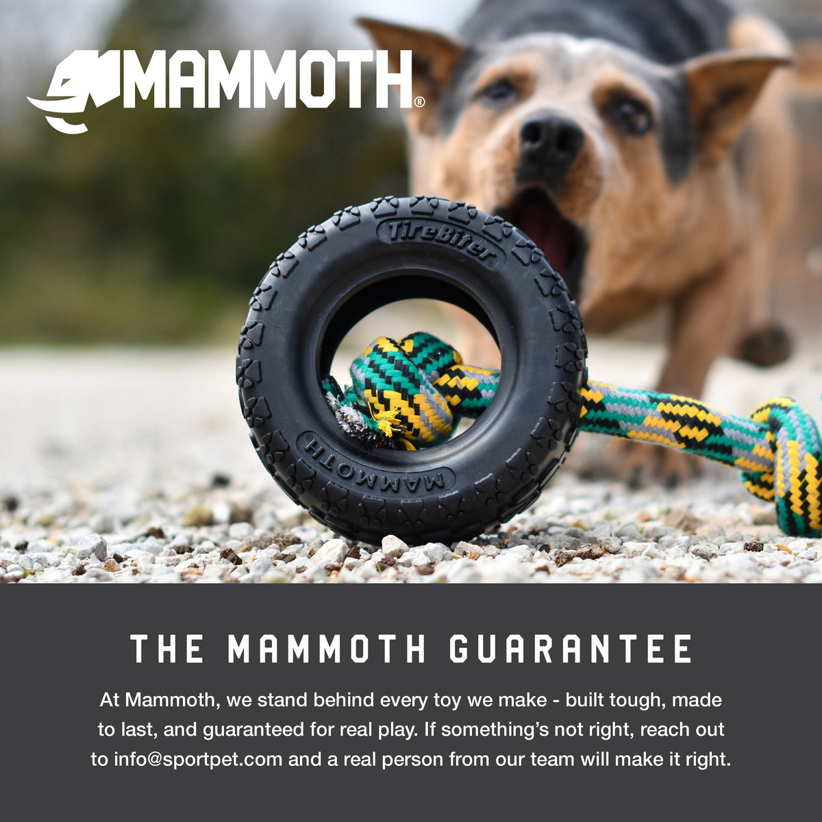 Extra-Large 36 in 5-Knot Cotton-Blend Tug Rope for Dogs Over 80 lb - Image 5
