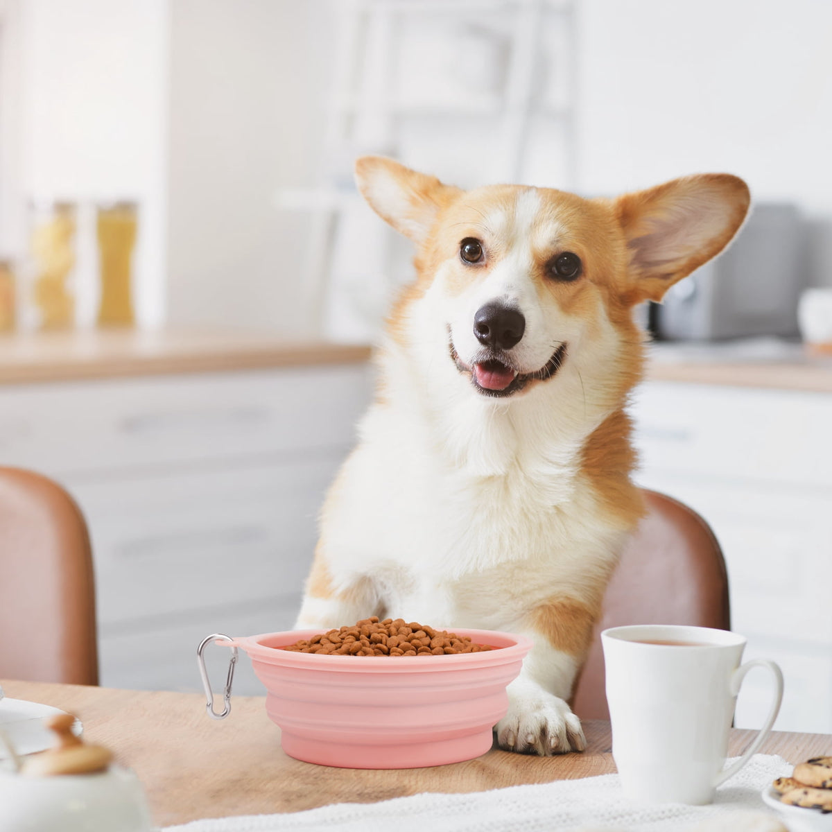 Collapsible Travel Bowls for Dogs and Cats, 12 oz and 22 oz, Pink - Image 2